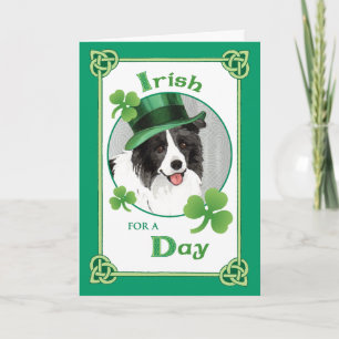St. Patrick's Day Gräns Collie Kort