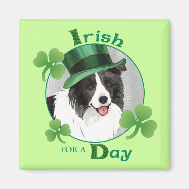 St. Patrick's Day Gräns Collie Magnet (Framsidan)
