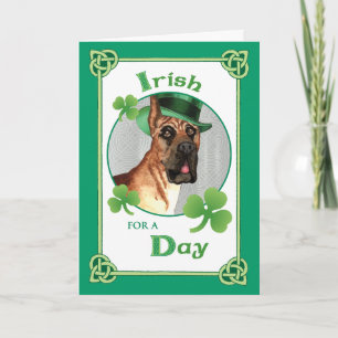 St. Patrick's Day Great dane Kort