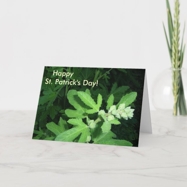 St. Patrick's Day Grönt Plant Kort (Framsida)