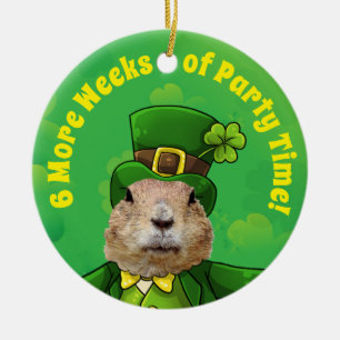 St. Patrick's Day Groundhog Party Animal Julgransprydnad Keramik