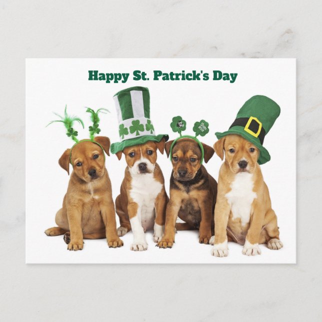 St. Patrick's Day  Helg Vykort (Framsida)