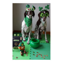 St. Patrick's Day Hundar Party Value Poster