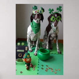 St. Patrick's Day Hundar Party Value Poster