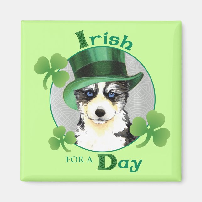 St. Patrick's Day Husky Magnet (Framsidan)