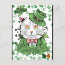St. Patrick's Day Irish Cat Postcard