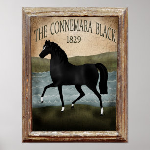 St patricks day Irish Horse, anpassningsbar Farm S Poster