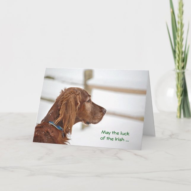 St. Patrick's Day Irish Setter Kort (Framsida)