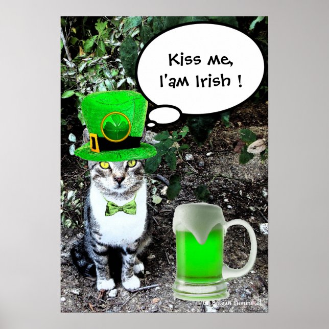 ST PATRICK'S DAY KATT MED GRÖNT IRLÄNDSKT ÖL POSTER (Framsidan)