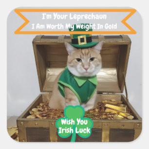 St Patrick's Day-klistermärke med rolig katt Fyrkantigt Klistermärke