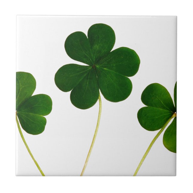 st patricks day klöver shamrock kakelplatta (Framsidan)