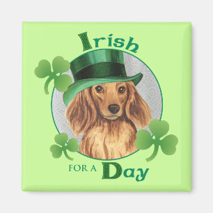 St. Patrick's Day Långhårigare Dachshund Magnet