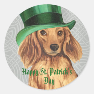 St. Patrick's Day Långhårigare Dachshund Runt Klistermärke