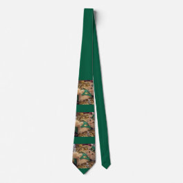 St Patrick's Day Leprechaun Cat  Slips