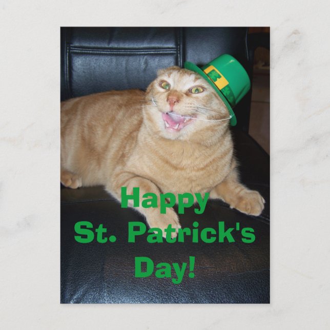 St patrick's day Leprechaun Cat vykort (Framsida)