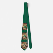 St Patricks Day Leprechaun Katt