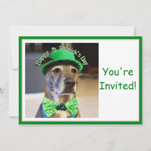 St patrick's day Lucky Hund Inbjudningar