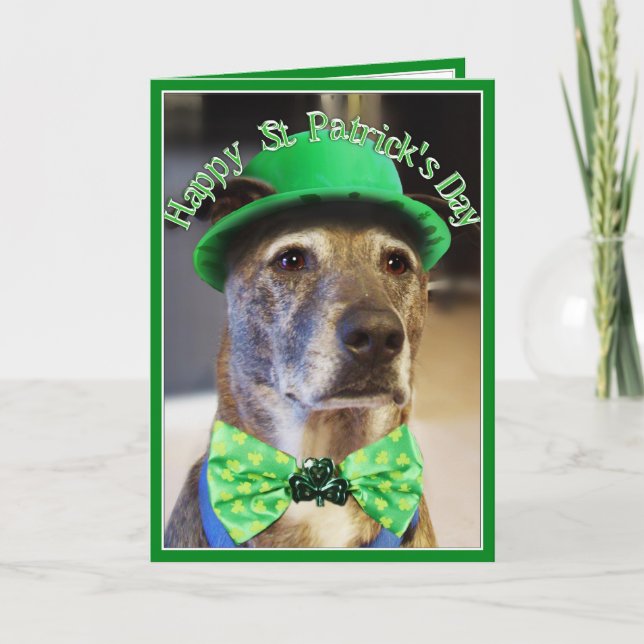 St patrick's day Lucky Hund Kort (Framsida)