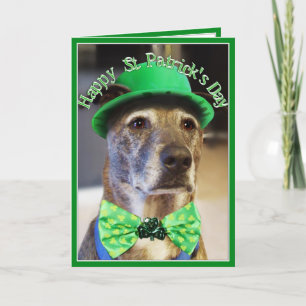 St patrick's day Lucky Hund Kort