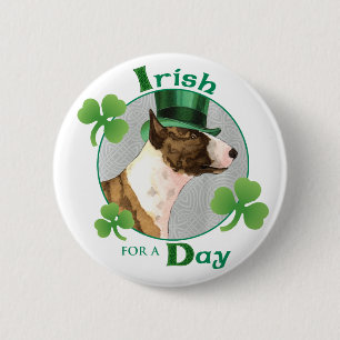St. Patrick's Day Mini Bull Terrier Knapp
