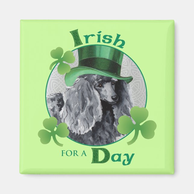 St. Patrick's Day Miniature Pudel Magnet (Framsidan)