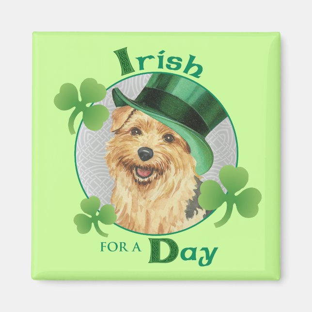St. Patrick's Day Norfolk Terrier Magnet (Framsidan)