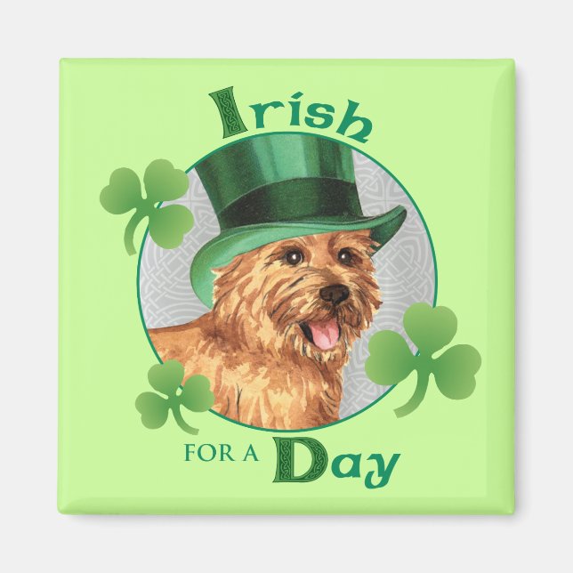 St. Patrick's Day Norwich Terrier Magnet (Framsidan)