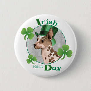 St. Patrick's Day PIO Knapp