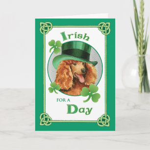 St. Patrick's Day Pudel Kort