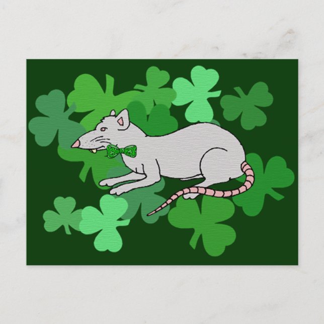 St. Patricks Day-råtta Vykort (Framsida)