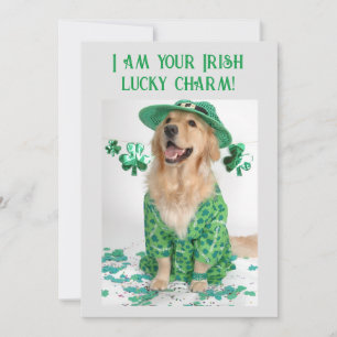 St. Patrick's Day Rolig Anpassningsbar Hundkort Julkort