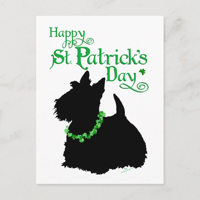 St patrick's day Scottish Terrier Vykort (Framsida)