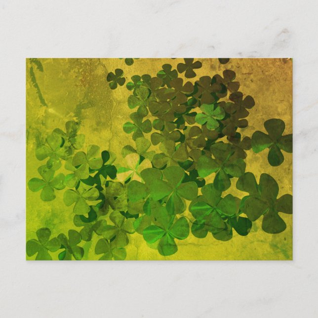 St. Patrick's Day Shamrock Vykort (Framsida)