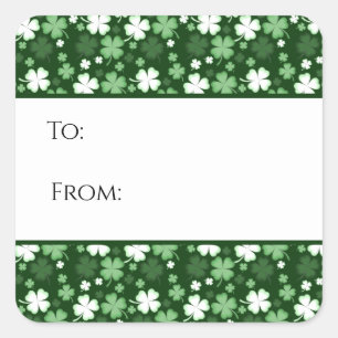 St. Patrick's Day Shamrocks Presentetikett Fyrkantigt Klistermärke