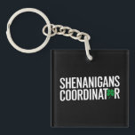 St. Patrick's Day Shenanigan Coordinator<br><div class="desc">St. Patrick's Day Shenanigan Coordinator</div>