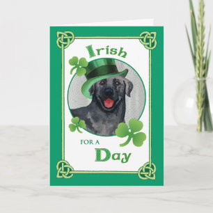 St. Patrick's Day Svart lab Kort