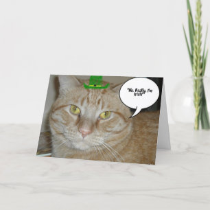 St patrick's day Tabby katt Kort