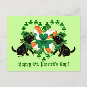 St. Patrick's Day Två Black Labradors Vykort