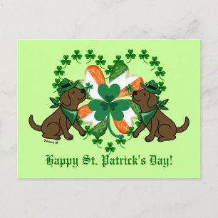 St. Patrick's Day Två Chocolate Labradors Vykort