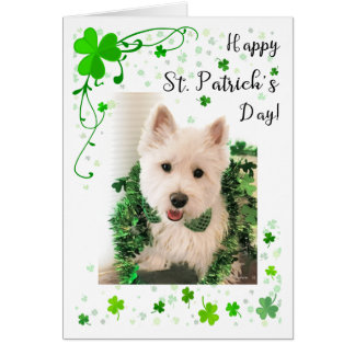 St. Patrick's Day Väster Highland Terrier Hälsningskort