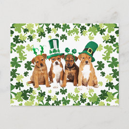 St. Patrick's Day Vykort