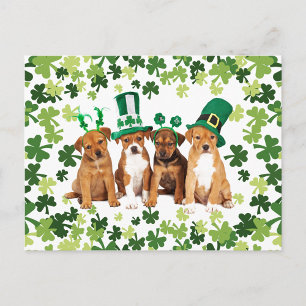 St. Patrick's Day Vykort