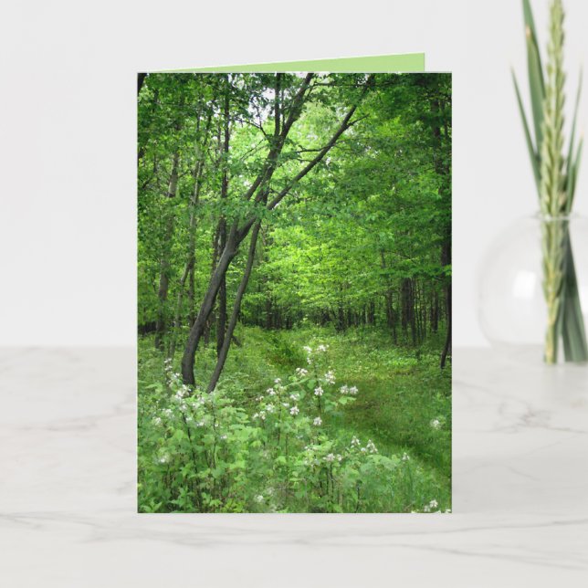 St. Patrick's Day: Woodland Väg Kort (Framsida)