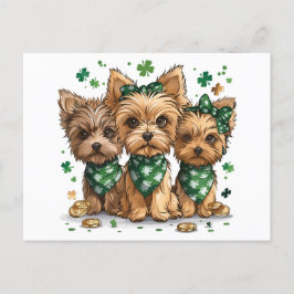 St. Patrick's Day Yorkshire Terrier Hundar Vykort