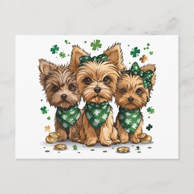 St. Patrick's Day Yorkshire Terrier Hundar Vykort (Framsida)