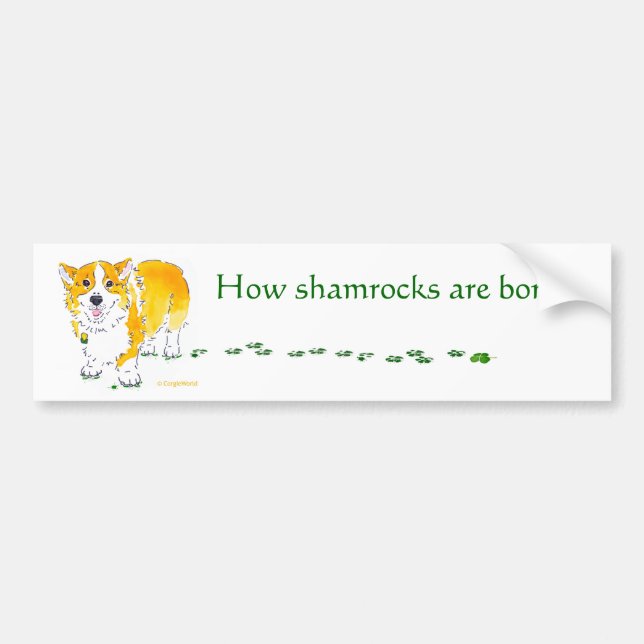St patrick's dayCorgibildekal Bildekal (Framsidan)
