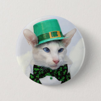 St patrick's daykattälskare knäppas knapp