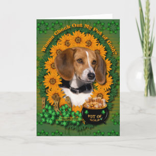 St Patricks - kruka av guld - Beagle Kort