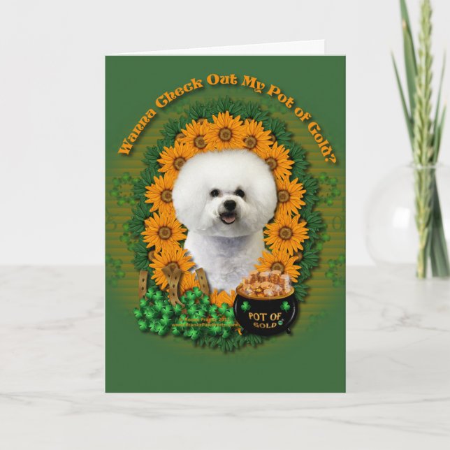 St Patricks - kruka av guld - Bichon Frise Kort (Framsida)