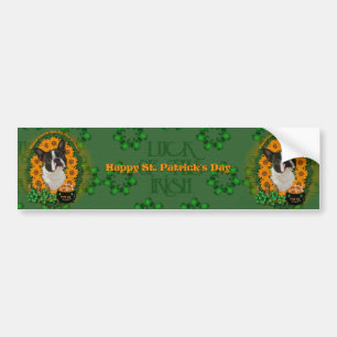 St Patricks - kruka av guld - Boston Terrier Bildekal